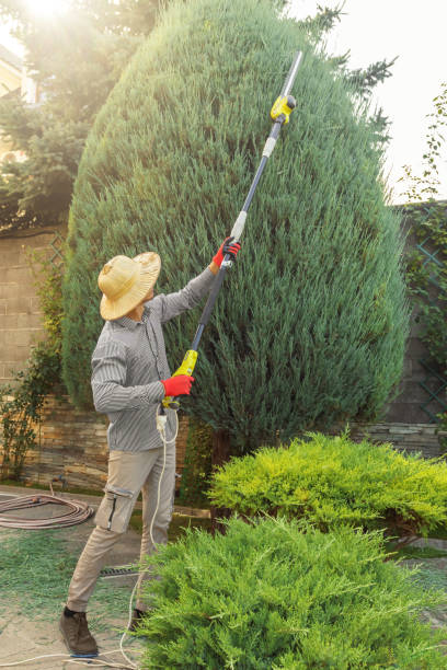 Best Lawn Watering Services  in Westport, NC